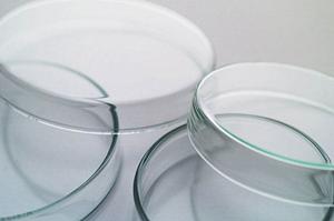 顎関節症の治療を行うことができる歯医者