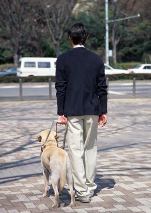 目立たない治療に対応した矯正歯科