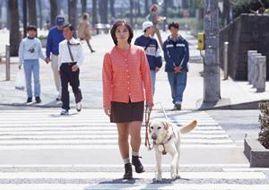 前立腺肥大は早期治療が重要です