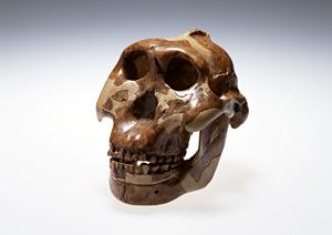 品川区でおすすめのメンタルクリニック徹底ガイド：心の健康をサポートする専門機関の選び方