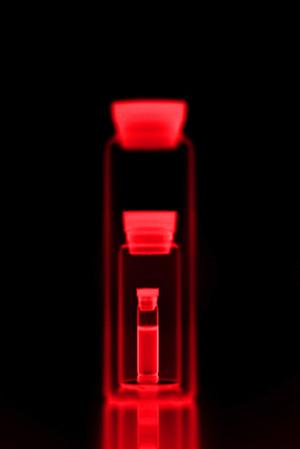 豊洲エリアの血圧管理と信頼できる病院選び：最新2026年版ガイド