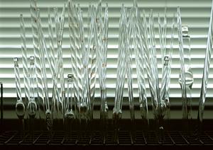 東大阪で糖尿病対策を徹底解説!最新の予防・改善法と効果的な生活習慣のポイント